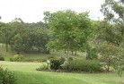 Yallingup Sidingresidential-landscaping-40.jpg; ?>